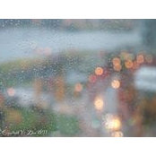 Yi Zhao's photo