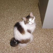 Courtney Glover's photo