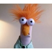 Dara Mullan's photo