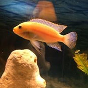 Emily Maud's photo