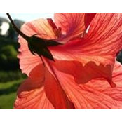 Wayne Stremski's photo
