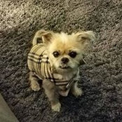 Peggy Ward's photo