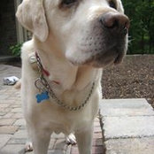 Nicole Kirstin's photo