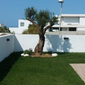 Jardín costero en Conil