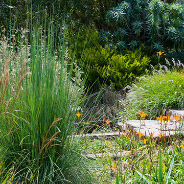 Mesa Garden