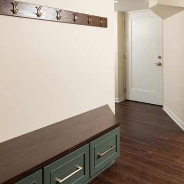 Whitefish Bay Basement Remodel Spa & Sauna