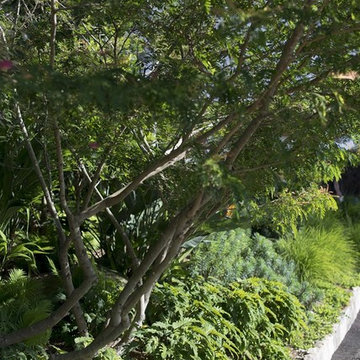 Best in Category & Gold Award - Secret Gardens of Sydney