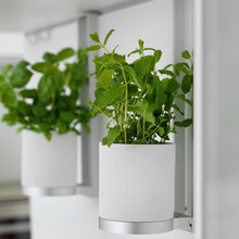 Kitchen idea