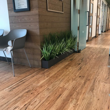 Eucalyptus, Natural color floors for residential and commercial applications.