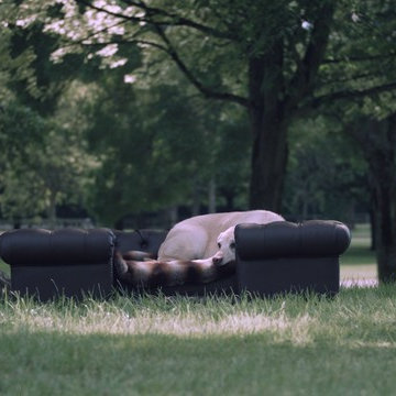 The Great Outdoors