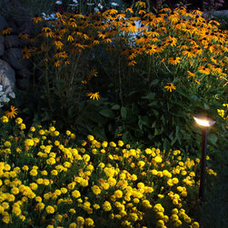 LED Outdoor and Landscape Lighting - Outdoor Flood And Spot Lights