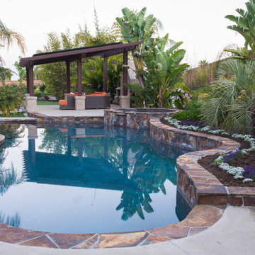 Tropical Paradise in Vista