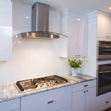 Contemporary White Kitchen