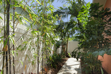 Design ideas for a tropical landscaping in Tampa.