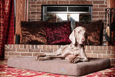 The World's best dog beds