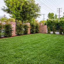 Sam back yard ideas