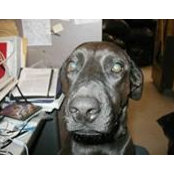 Erika Geiger's photo