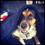 Michelle Durbin's photo
