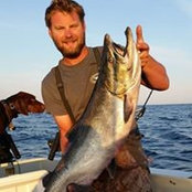 Brandon Matthews's photo