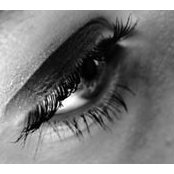 Traci Wixon's photo