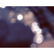 Daniela Baptista's photo