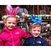 Kristen Anderson Terzo's photo