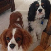 Barbara Iiams's photo