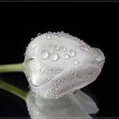 TC Fahriye Ekşi's photo