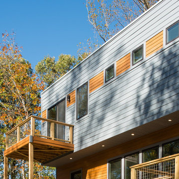 forest house
