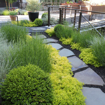Burlingame Garden Retreat