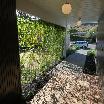 View through green wall at Entry