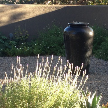 Southwestern Desert Meadow