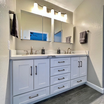 Brian & Julie’s Master Bathroom