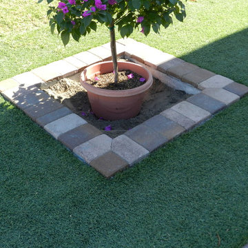 Pavescapes - Anaheim Project