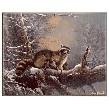 Out On a Limb-Raccoon, Birch Wood Print