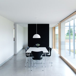 シュトゥットガルトの広いモダンスタイルのLDKの画像 (マルチカラーの壁、コンクリートの床)