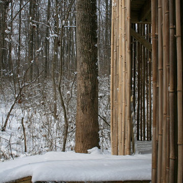 Bamboo Tree Fort