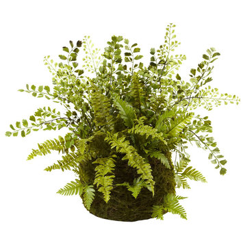 Mixed Fern With Twig and Moss Basket