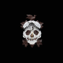 Skulls, etc