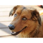 Rachelle Flatt's photo
