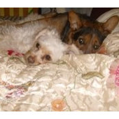 Maryann Durell's photo