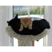 Pat McNeer's photo