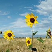 Alynn McManus's photo