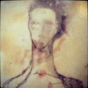 Chiara Grifs billede