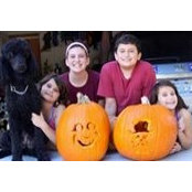 Traci Klein's photo