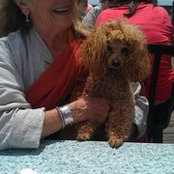 Kathleen Samuels's photo