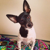 Karen Mester's photo