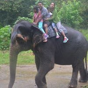 Sajeeva Ratnasinghe's photo