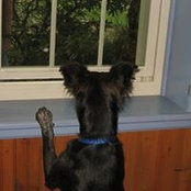 Stan Korbar's photo