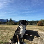 Laurene Stepan's photo